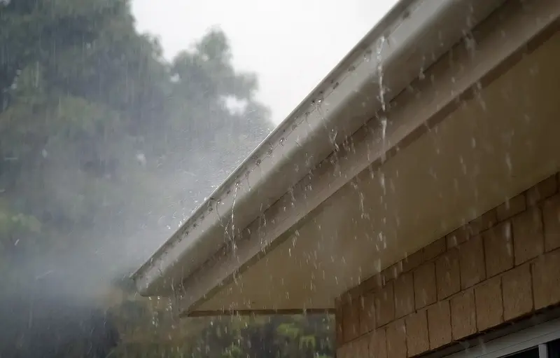 Clogged Gutters And Downspouts