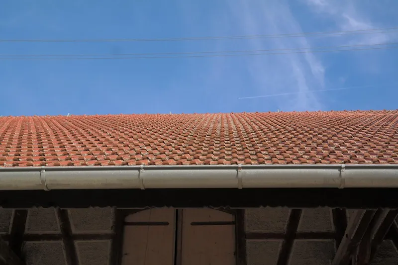 Granules In The Gutters